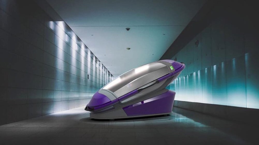 3) Sarco_Pod_Purple